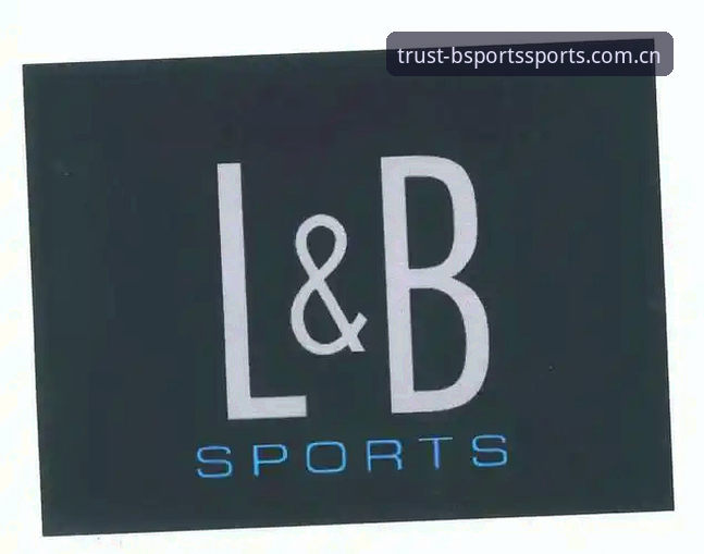 BSports体育数据分析平台新手教程：从注册到实战的完整指南