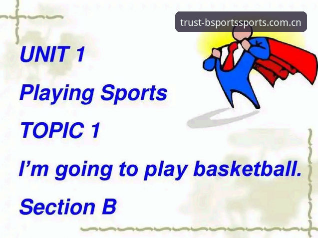 B-Sports官网登录功能最新动态：新手必看的完整操作指南